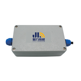 Weighing Transducer